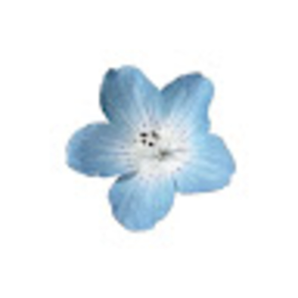 Meet your Posher, Aadhya